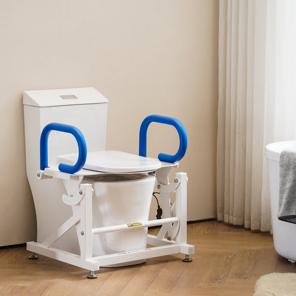 Electric Raised Toilet Seat Wayfair